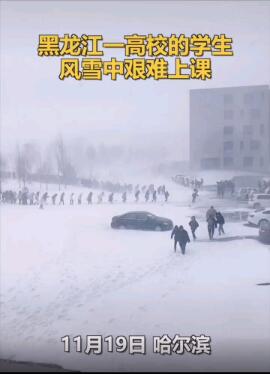 1605835173293451.jpg 1120a.jpg